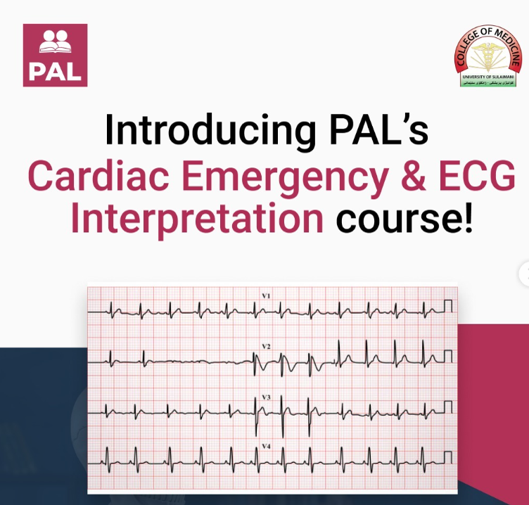 1 Ecg And Er Pal Annuncement